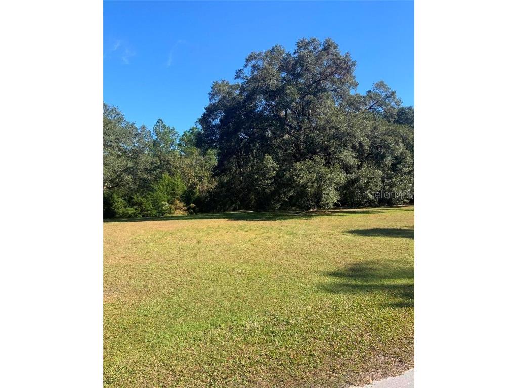 21426 NE 51st Avenue Earleton FL 32631 - Lake Elizabeth A4668679 image22