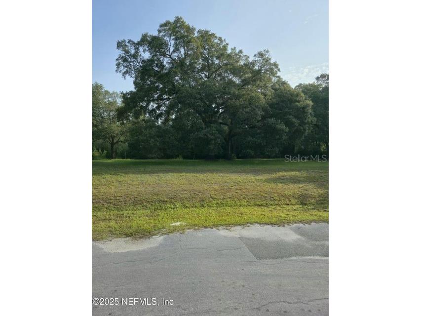 21426 NE 51st Avenue Earleton FL 32631 - Lake Elizabeth A4668679 image24