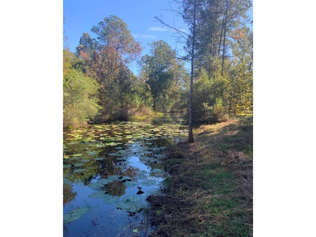 21426 NE 51st Avenue Earleton FL 32631 - Lake Elizabeth A4668679 image3