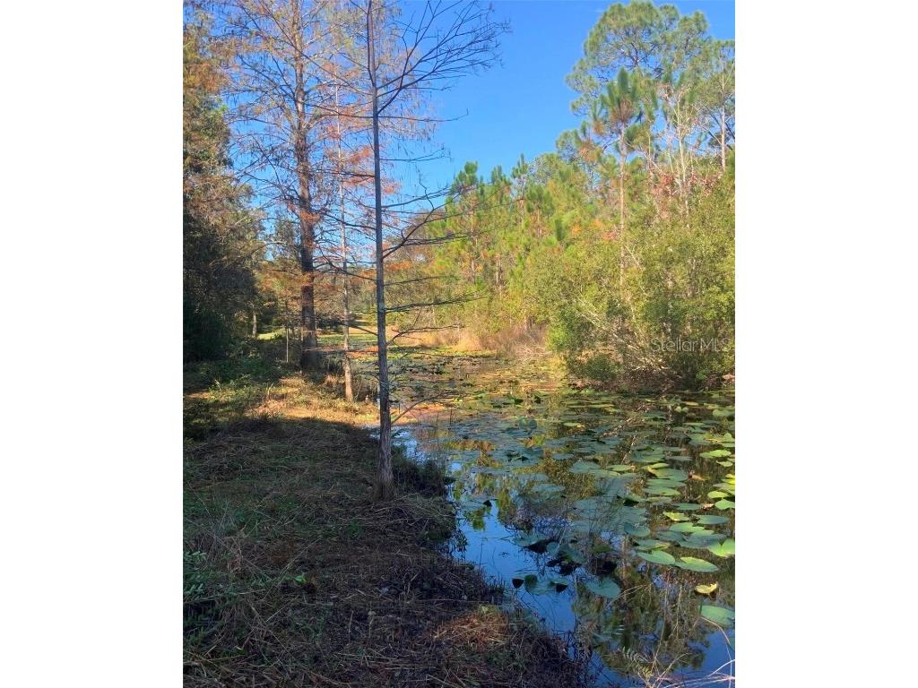 21426 NE 51st Avenue Earleton FL 32631 - Lake Elizabeth A4668679 image4