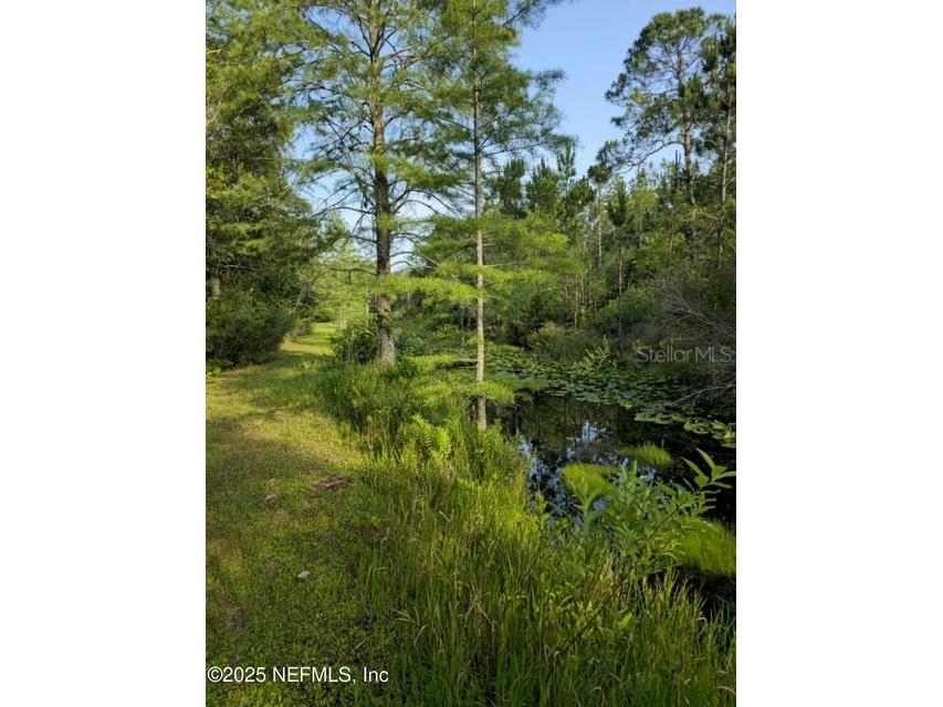 21426 NE 51st Avenue Earleton FL 32631 - Lake Elizabeth A4668679 image5