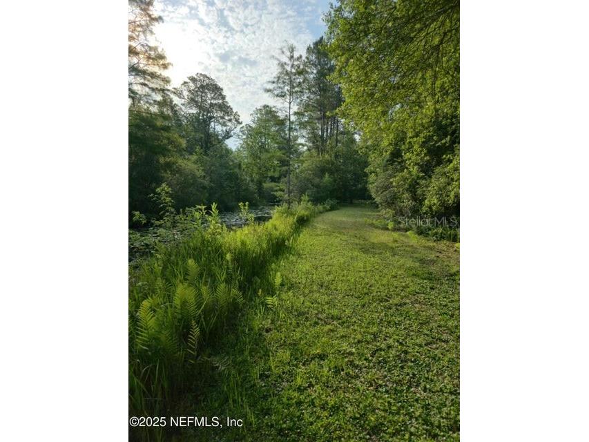 21426 NE 51st Avenue Earleton FL 32631 - Lake Elizabeth A4668679 image6