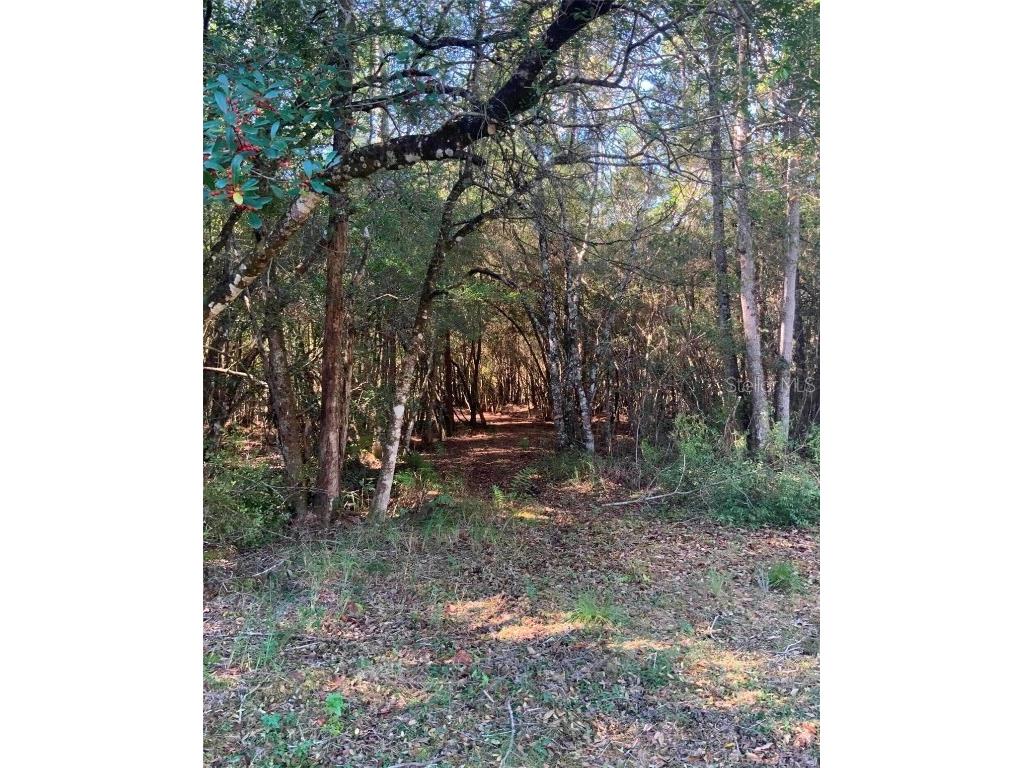 21426 NE 51st Avenue Earleton FL 32631 - Lake Elizabeth A4668679 image7