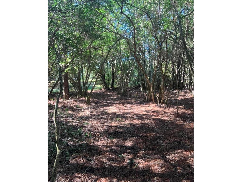 21426 NE 51st Avenue Earleton FL 32631 - Lake Elizabeth A4668679 image8