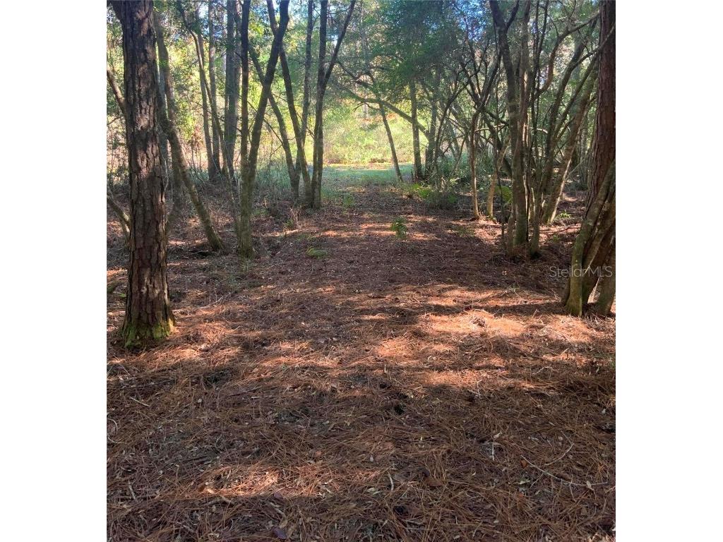 21426 NE 51st Avenue Earleton FL 32631 - Lake Elizabeth A4668679 image9