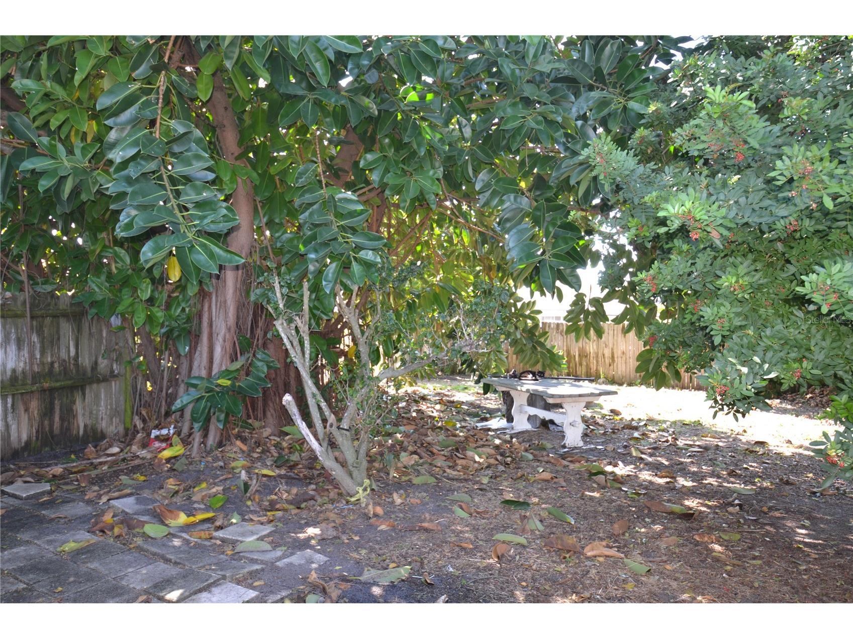 2143 Chatlin Road Holiday FL 34691 TB8482125 image34