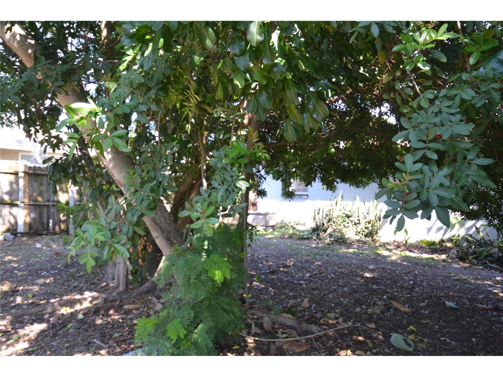 2143 Chatlin Road Holiday FL 34691 TB8482125 image39