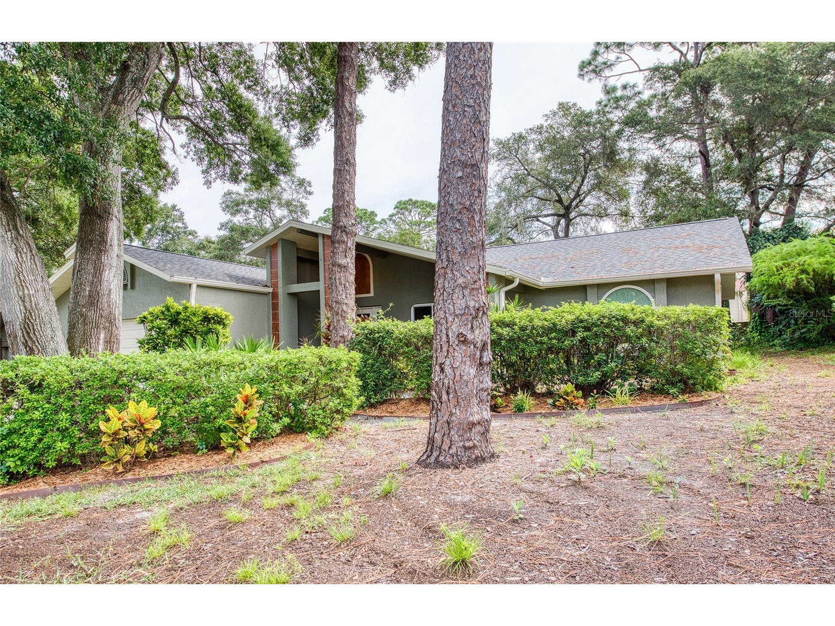 2143 Salisbury Court Palm Harbor FL 34683 W7885678 image12