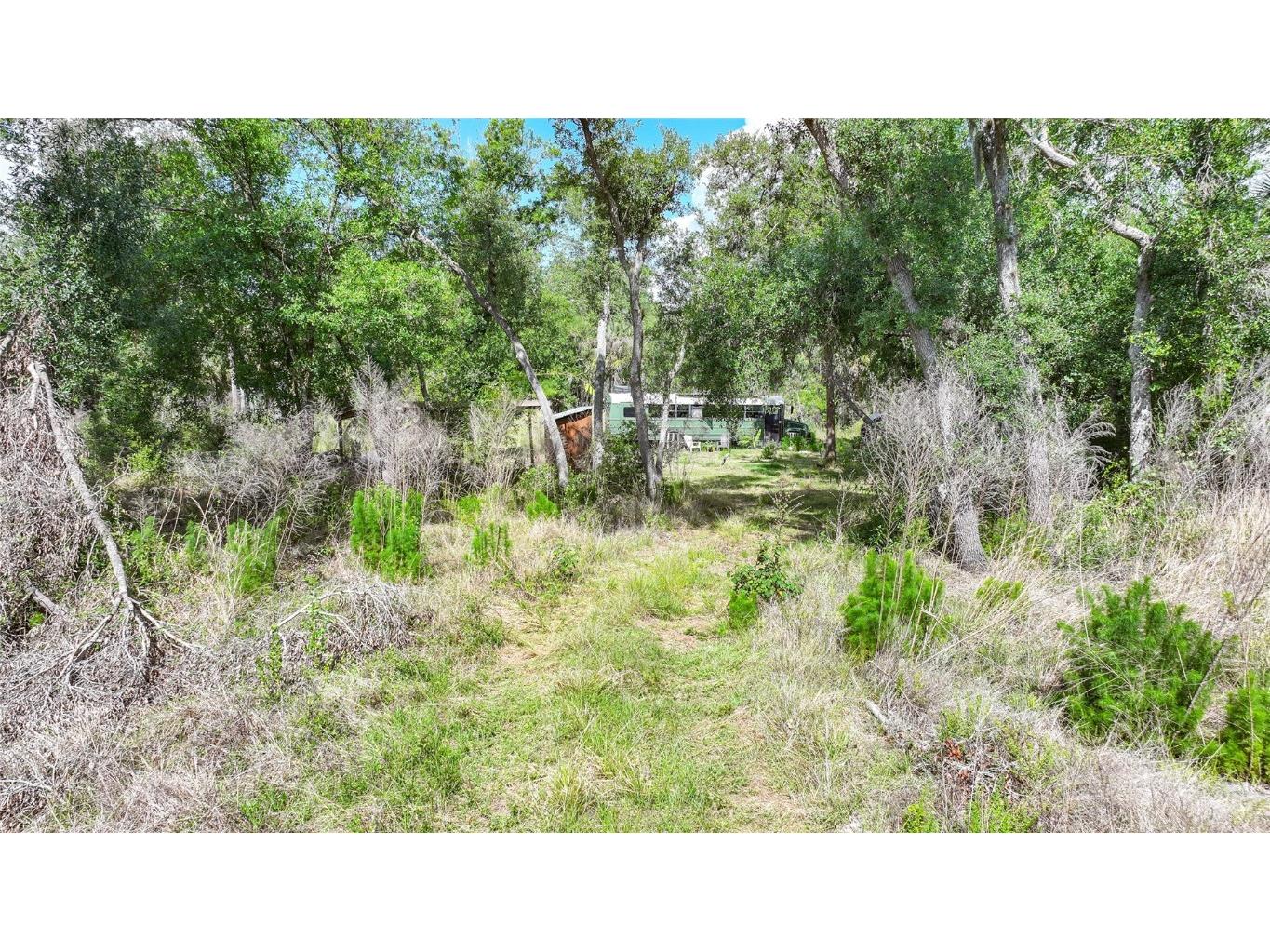 2143 SW Blossom Avenue Arcadia FL 34266 C7508762 image27