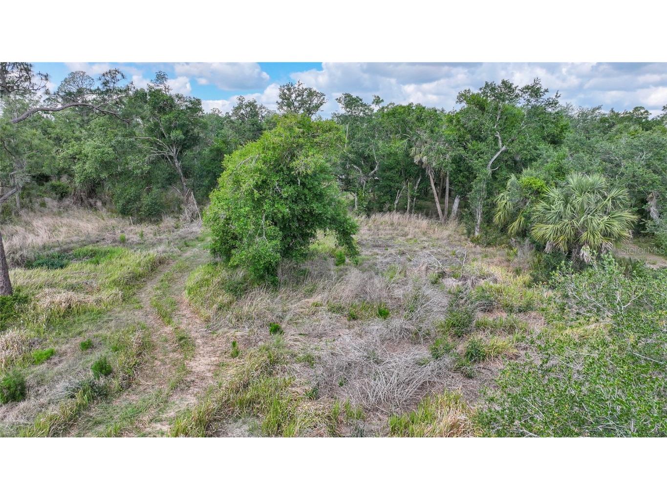 2143 SW Blossom Avenue Arcadia FL 34266 C7508762 image39