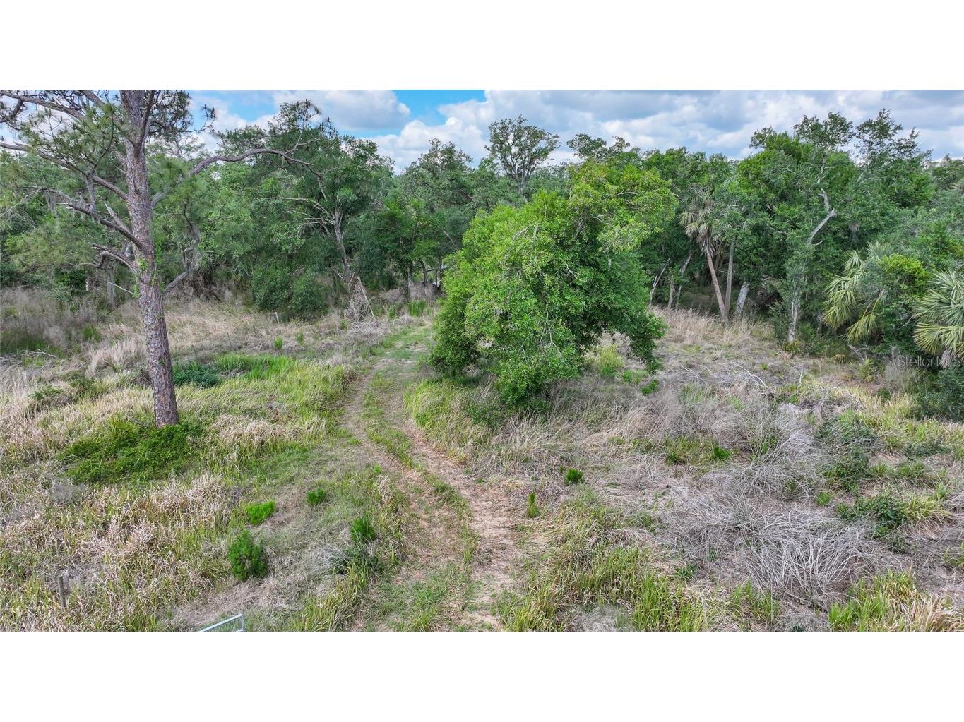 2143 SW Blossom Avenue Arcadia FL 34266 C7508762 image40