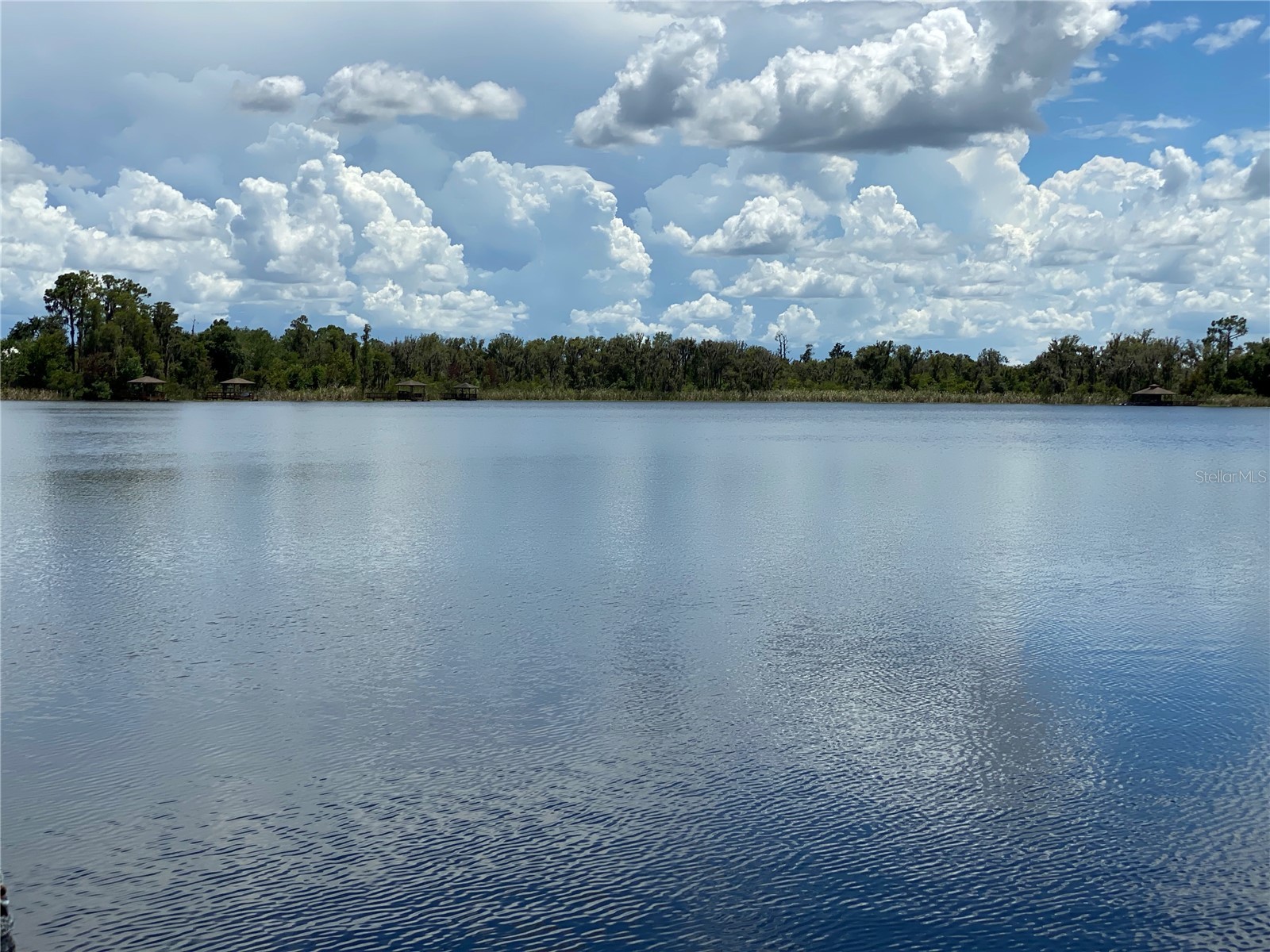 21430 Draycott Way Land O Lakes FL 34637 - Bay Lake TB8497463 image10