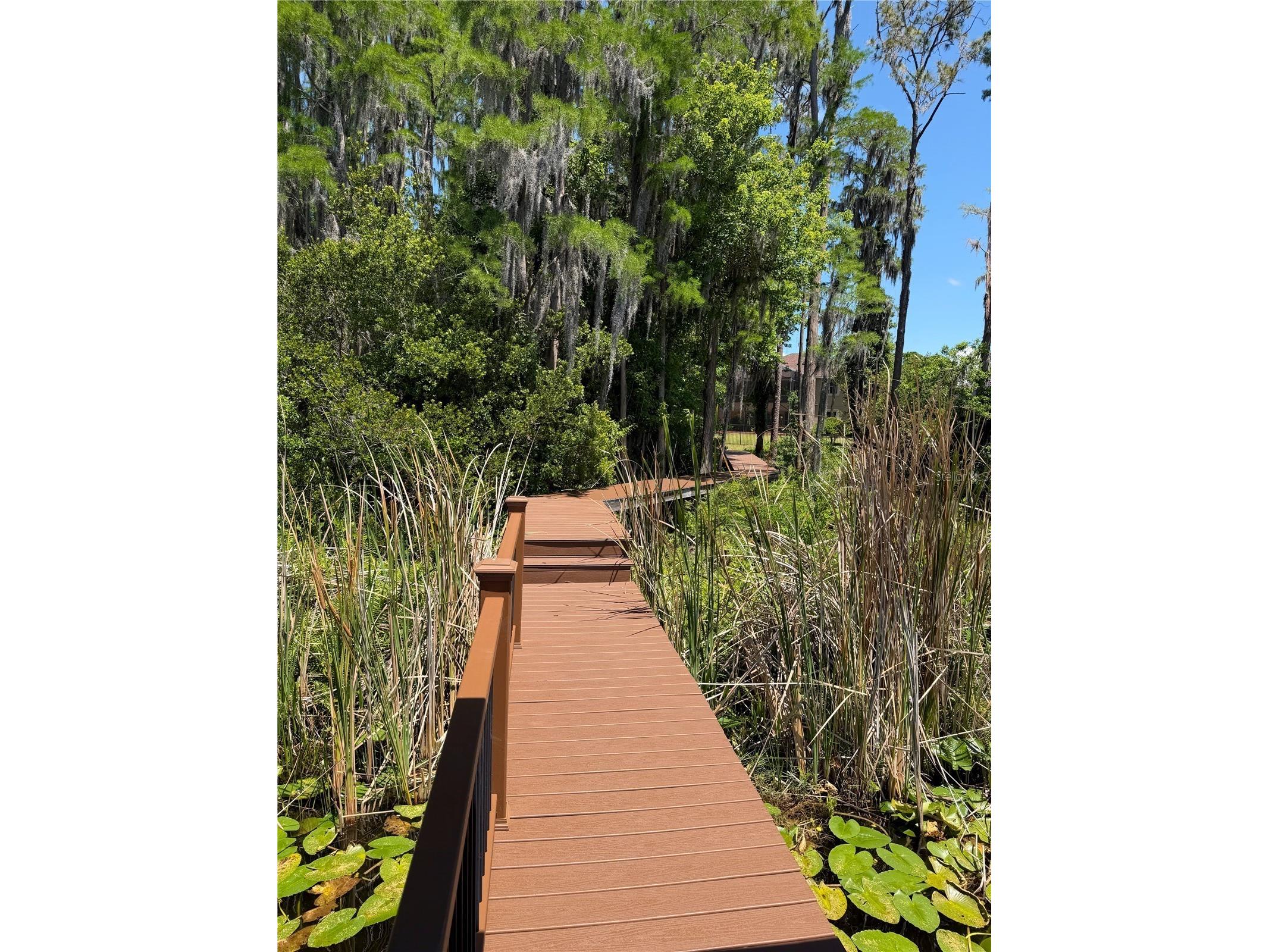 21430 Draycott Way Land O Lakes FL 34637 - Bay Lake TB8497463 image12