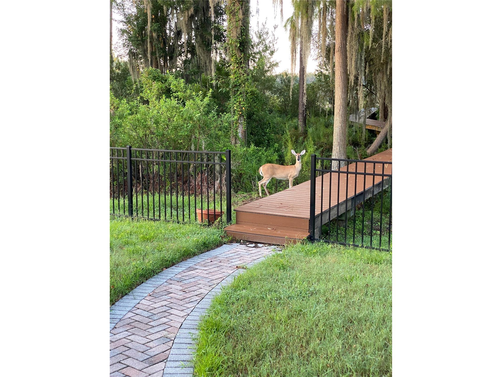 21430 Draycott Way Land O Lakes FL 34637 - Bay Lake TB8497463 image13