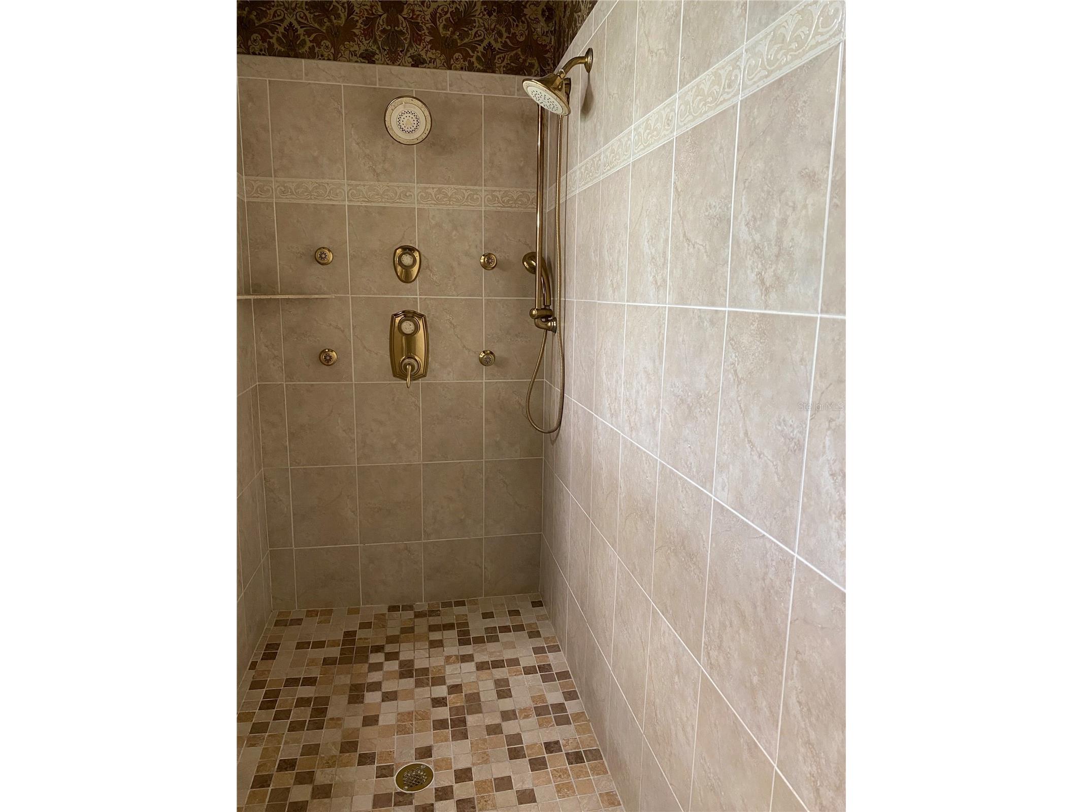 21430 Draycott Way Land O Lakes FL 34637 - Bay Lake TB8497463 image44