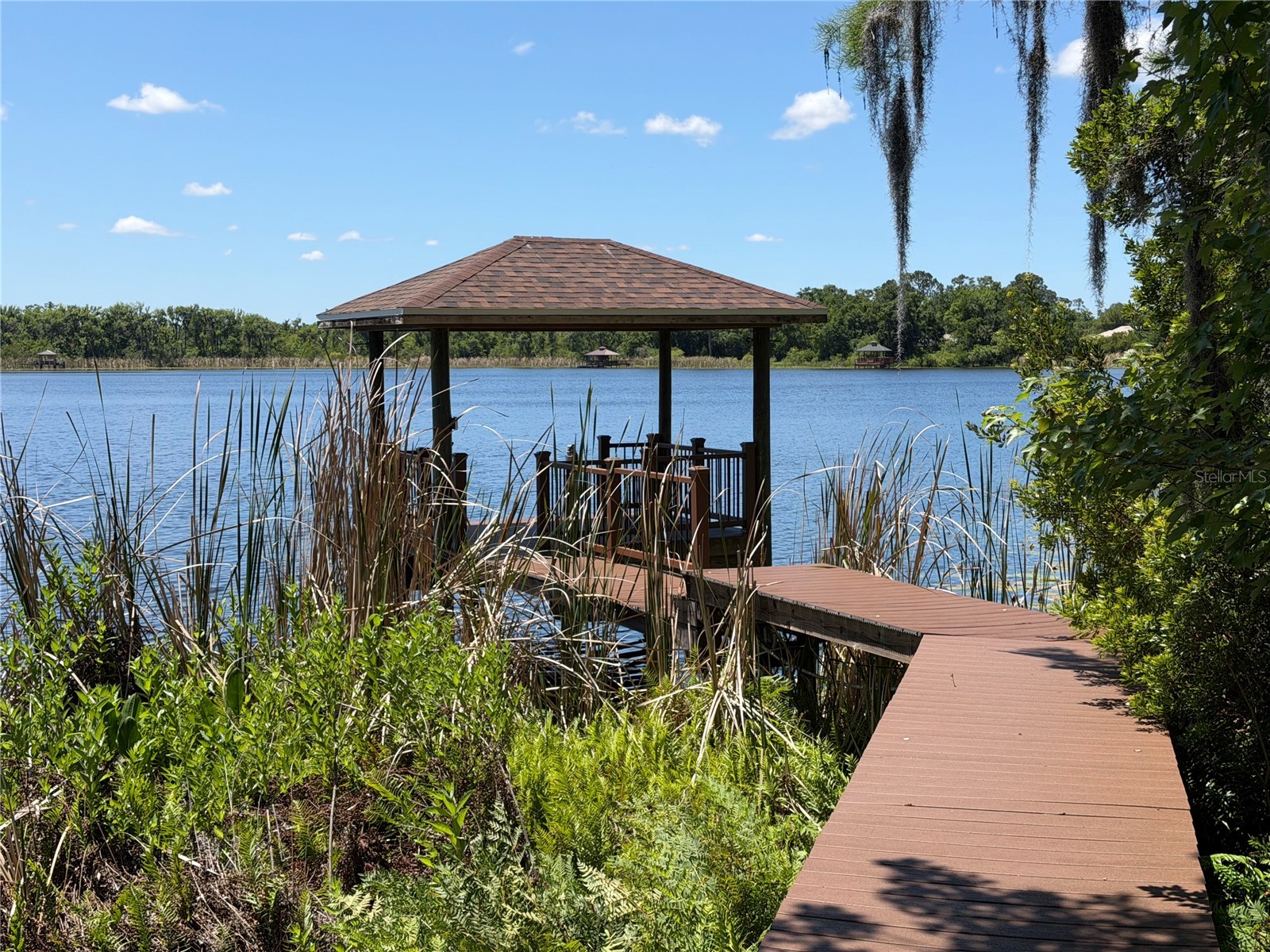 21430 Draycott Way Land O Lakes FL 34637 - Bay Lake TB8497463 image5