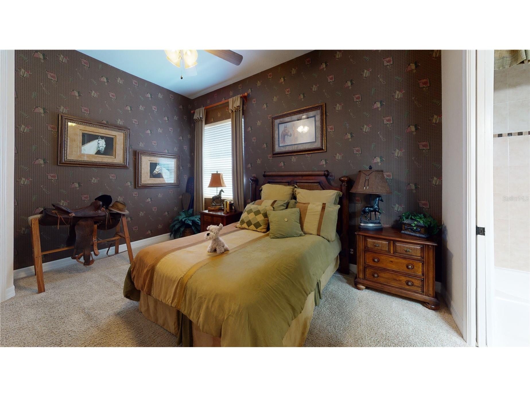 21430 Draycott Way Land O Lakes FL 34637 - Bay Lake TB8497463 image50