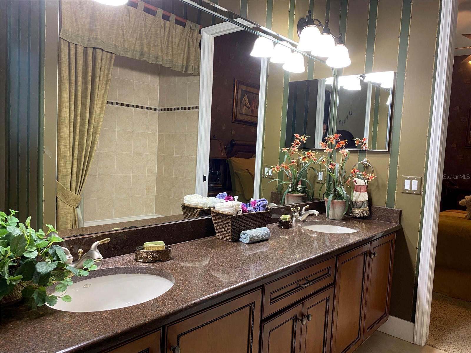 21430 Draycott Way Land O Lakes FL 34637 - Bay Lake TB8497463 image51