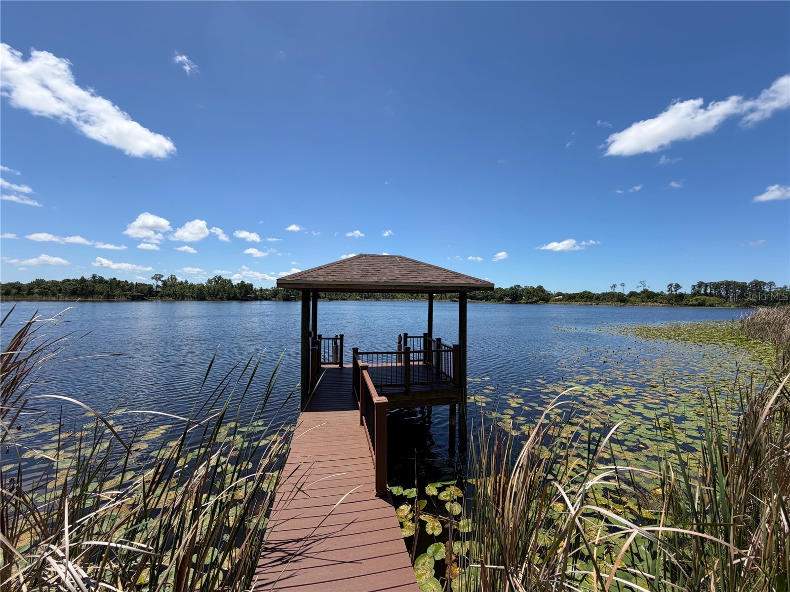 21430 Draycott Way Land O Lakes FL 34637 - Bay Lake TB8497463 image6