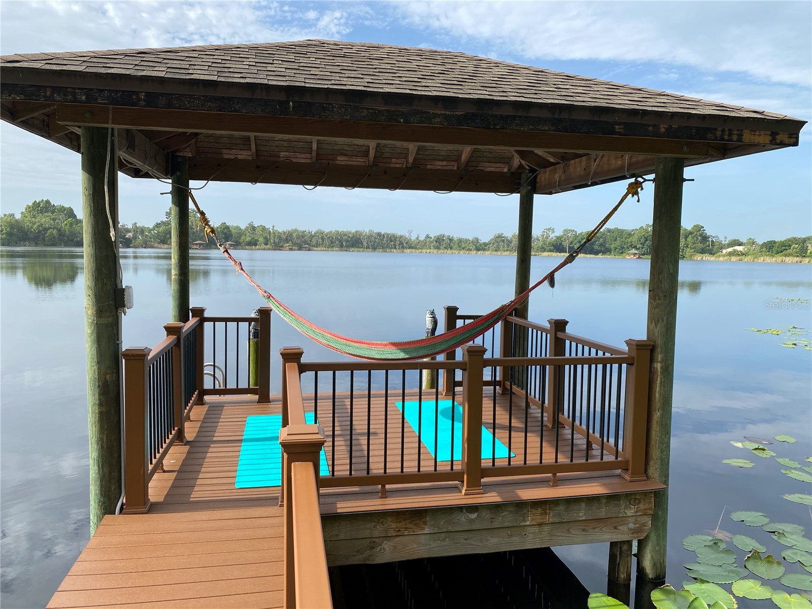 21430 Draycott Way Land O Lakes FL 34637 - Bay Lake TB8497463 image7