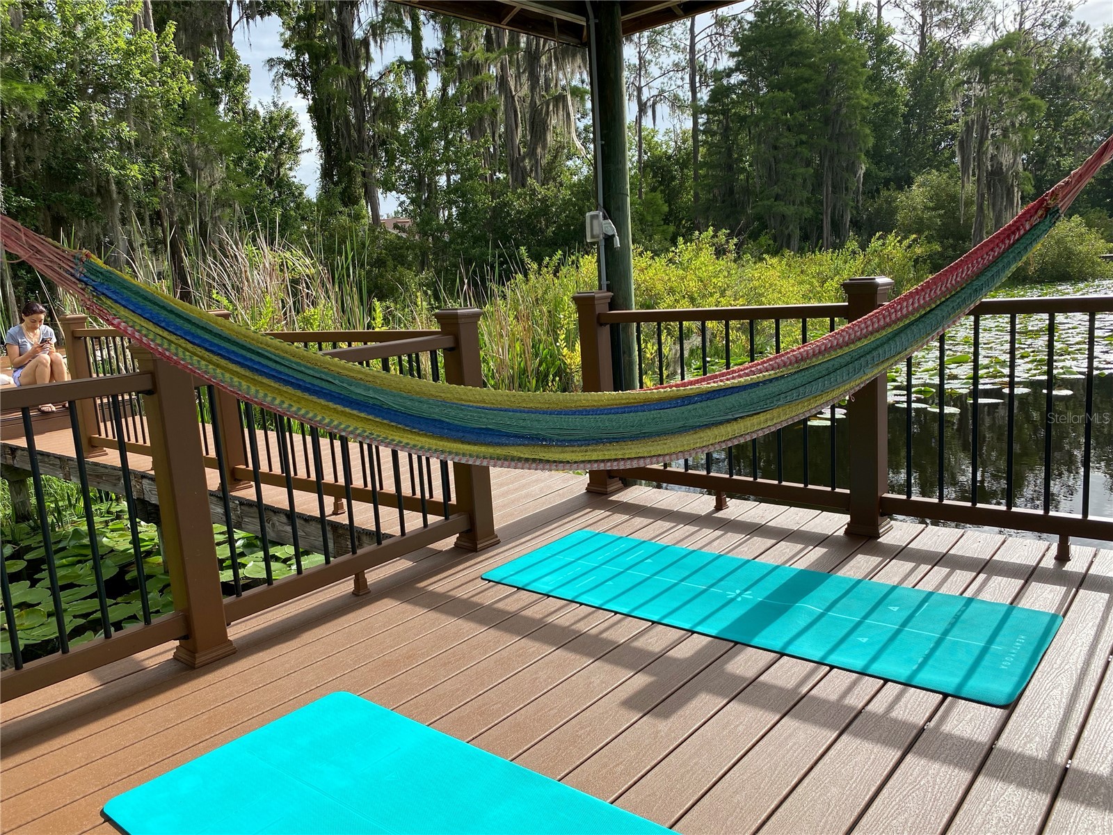21430 Draycott Way Land O Lakes FL 34637 - Bay Lake TB8497463 image8