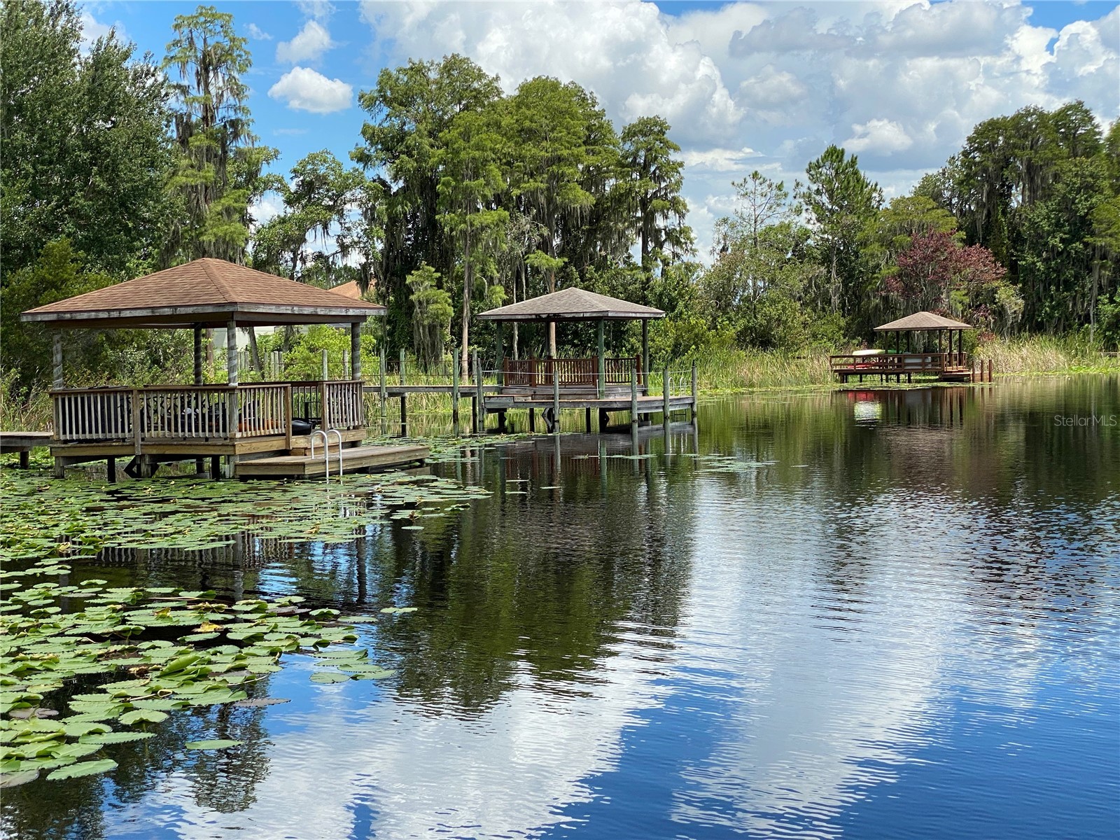 21430 Draycott Way Land O Lakes FL 34637 - Bay Lake TB8497463 image9