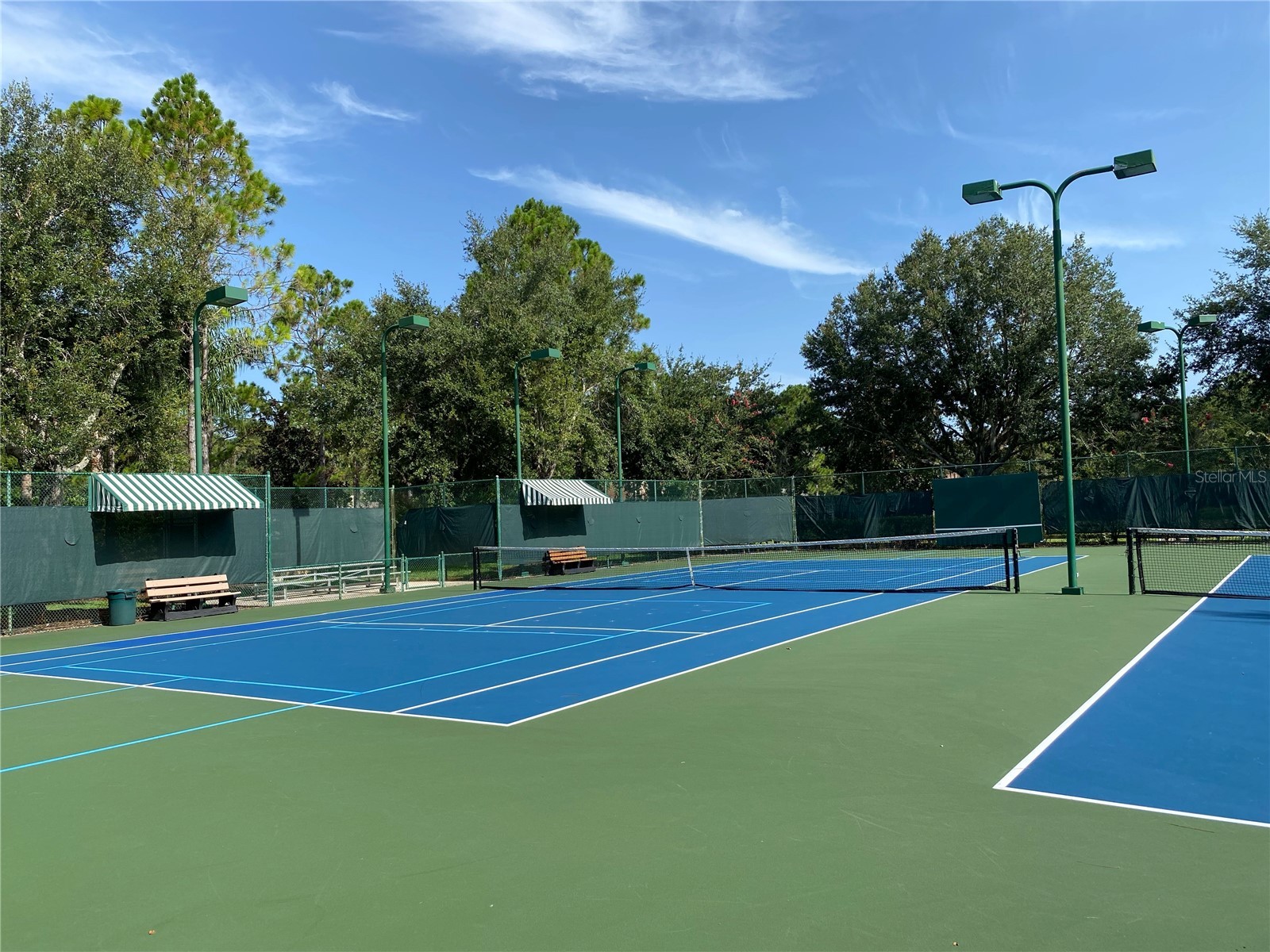 21430 Draycott Way Land O Lakes FL 34637 - Bay Lake TB8497463 image94