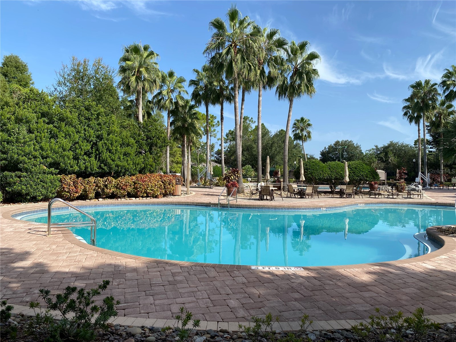 21430 Draycott Way Land O Lakes FL 34637 - Bay Lake TB8497463 image97