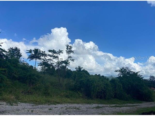 21431 SE 70 Street Morriston FL 32668 OM680148 image1