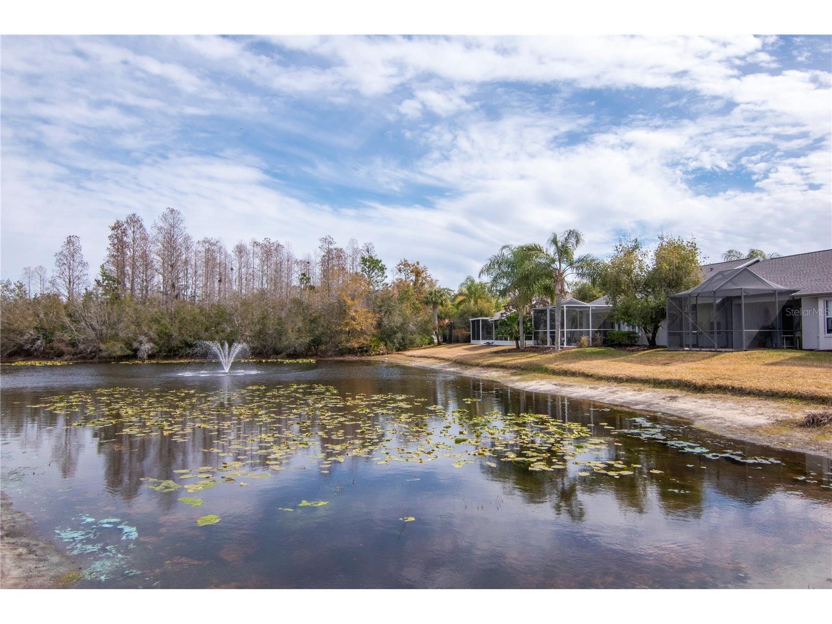 21433 Diamonte Drive Land O Lakes FL 34637 TB8476562 image36