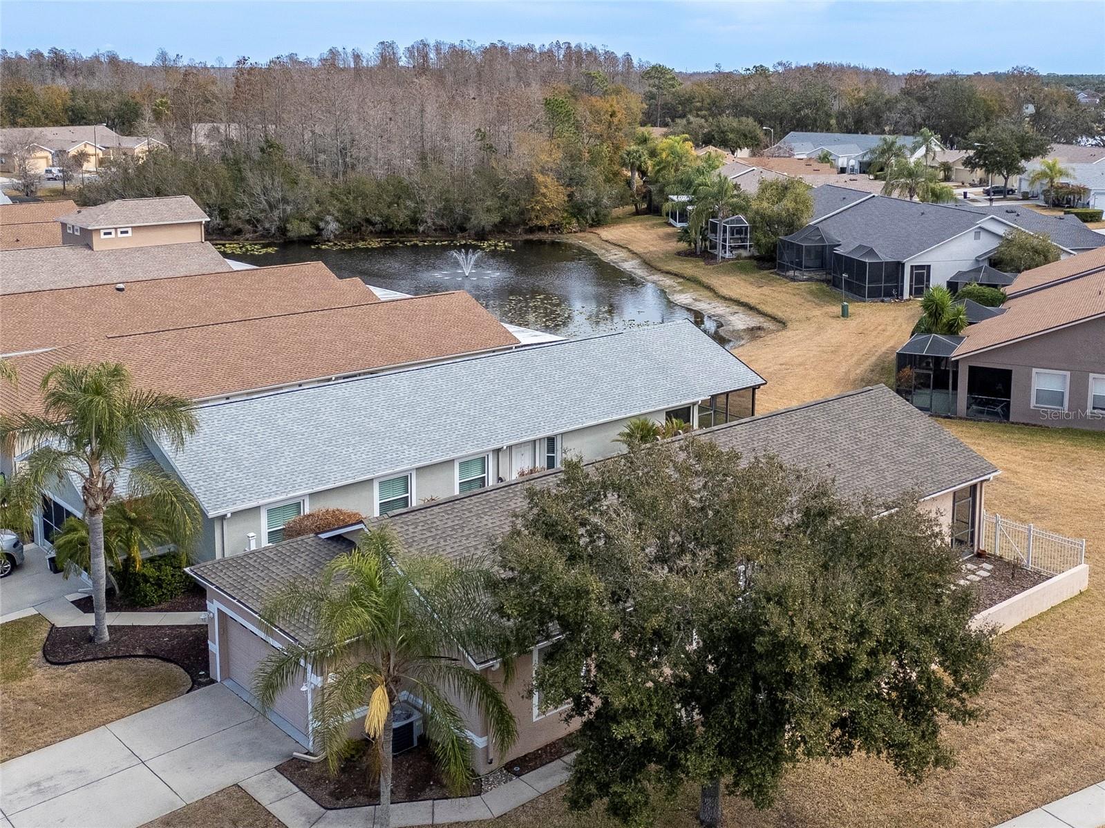 21433 Diamonte Drive Land O Lakes FL 34637 TB8476562 image37