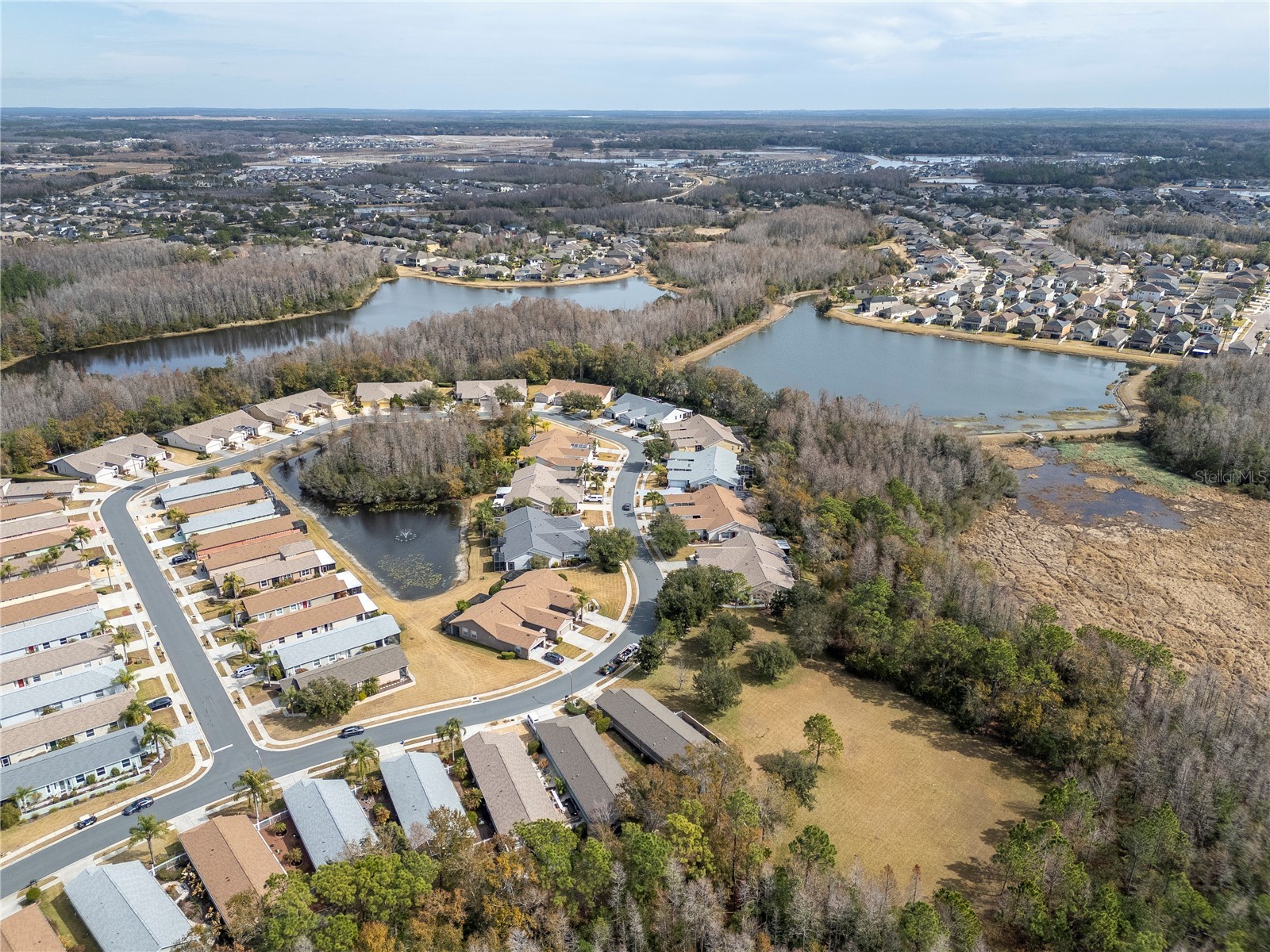 21433 Diamonte Drive Land O Lakes FL 34637 TB8476562 image40
