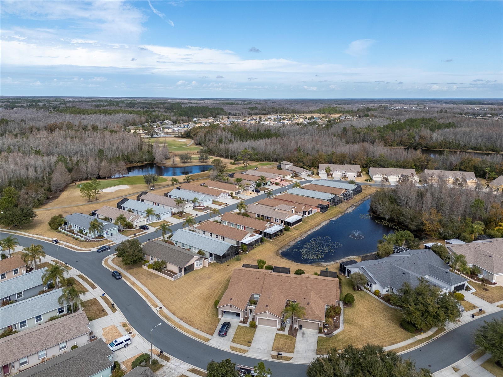 21433 Diamonte Drive Land O Lakes FL 34637 TB8476562 image44