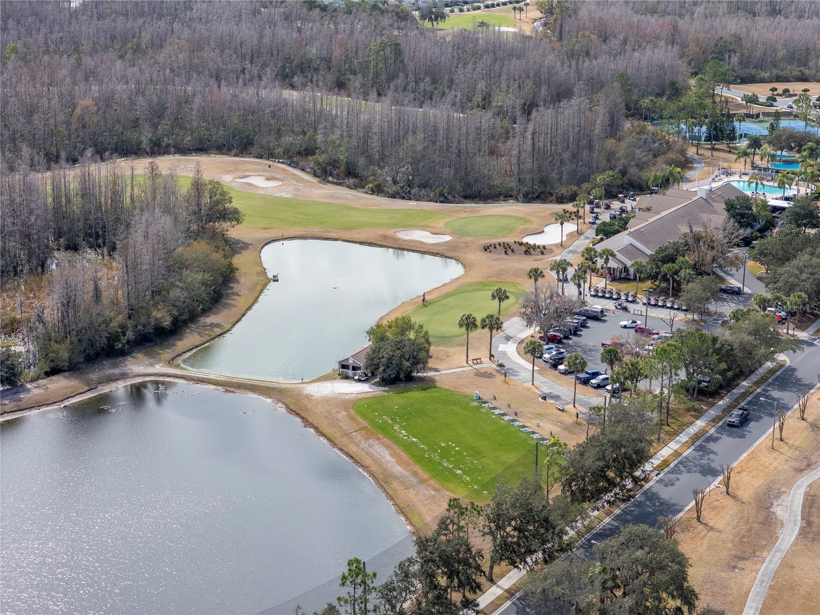 21433 Diamonte Drive Land O Lakes FL 34637 TB8476562 image55