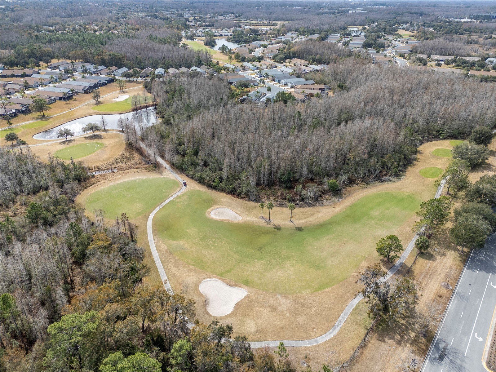 21433 Diamonte Drive Land O Lakes FL 34637 TB8476562 image58