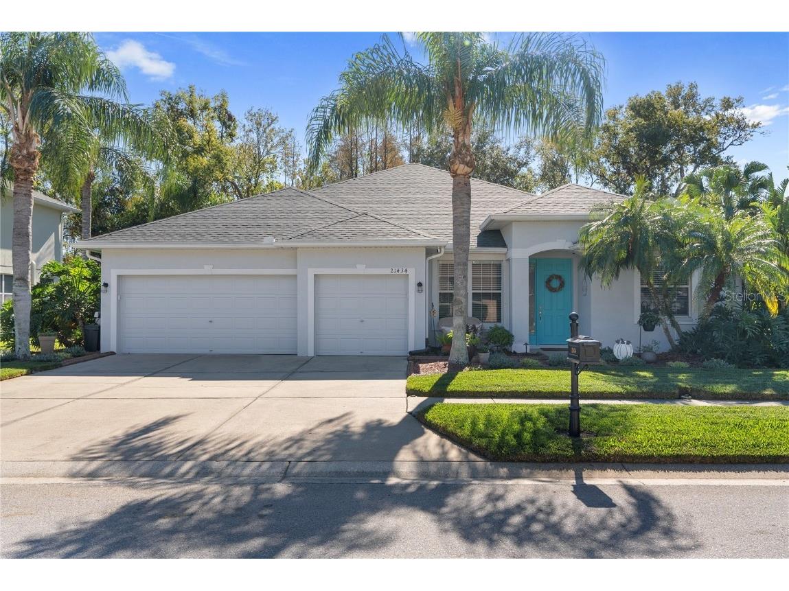 21434 Preservation Drive Land O Lakes FL 34638 - LAKE THOMAS TB8325743 image1