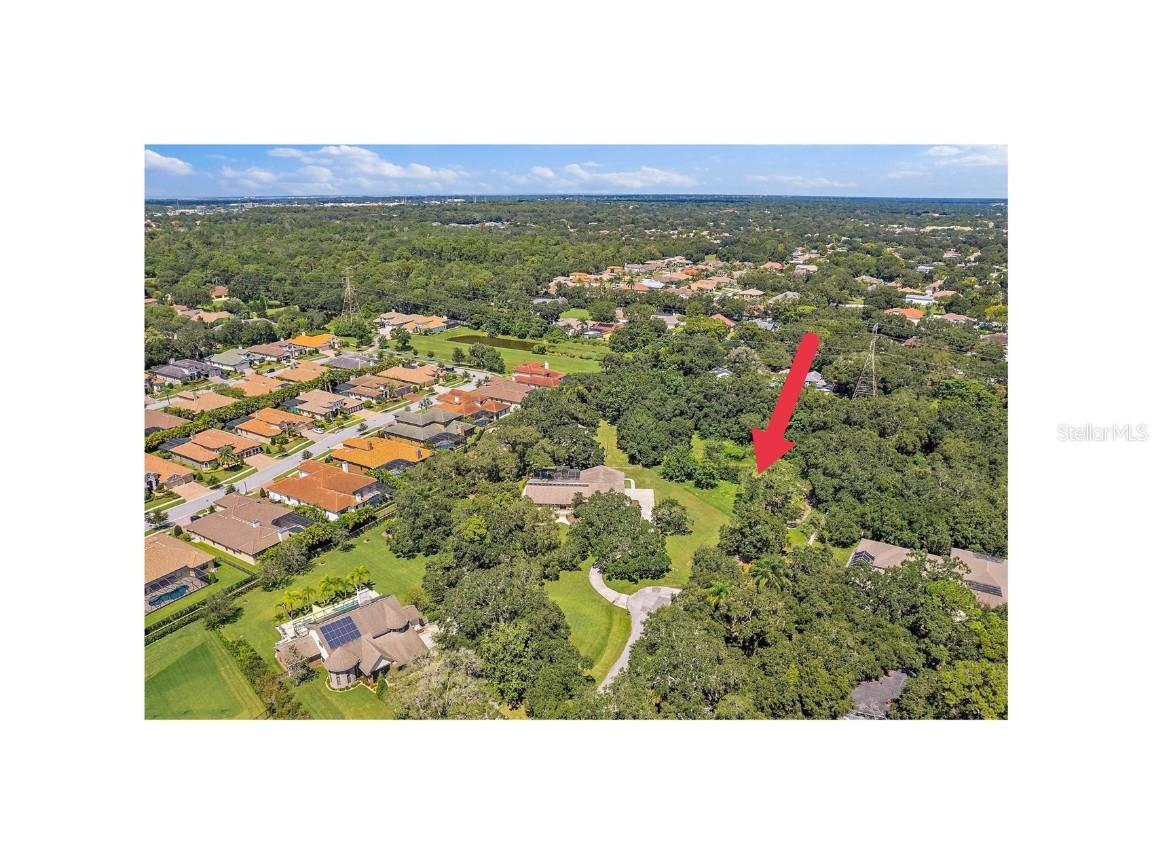 2144 Meadow Brook Drive Clearwater FL 33759 TB8319604 image1