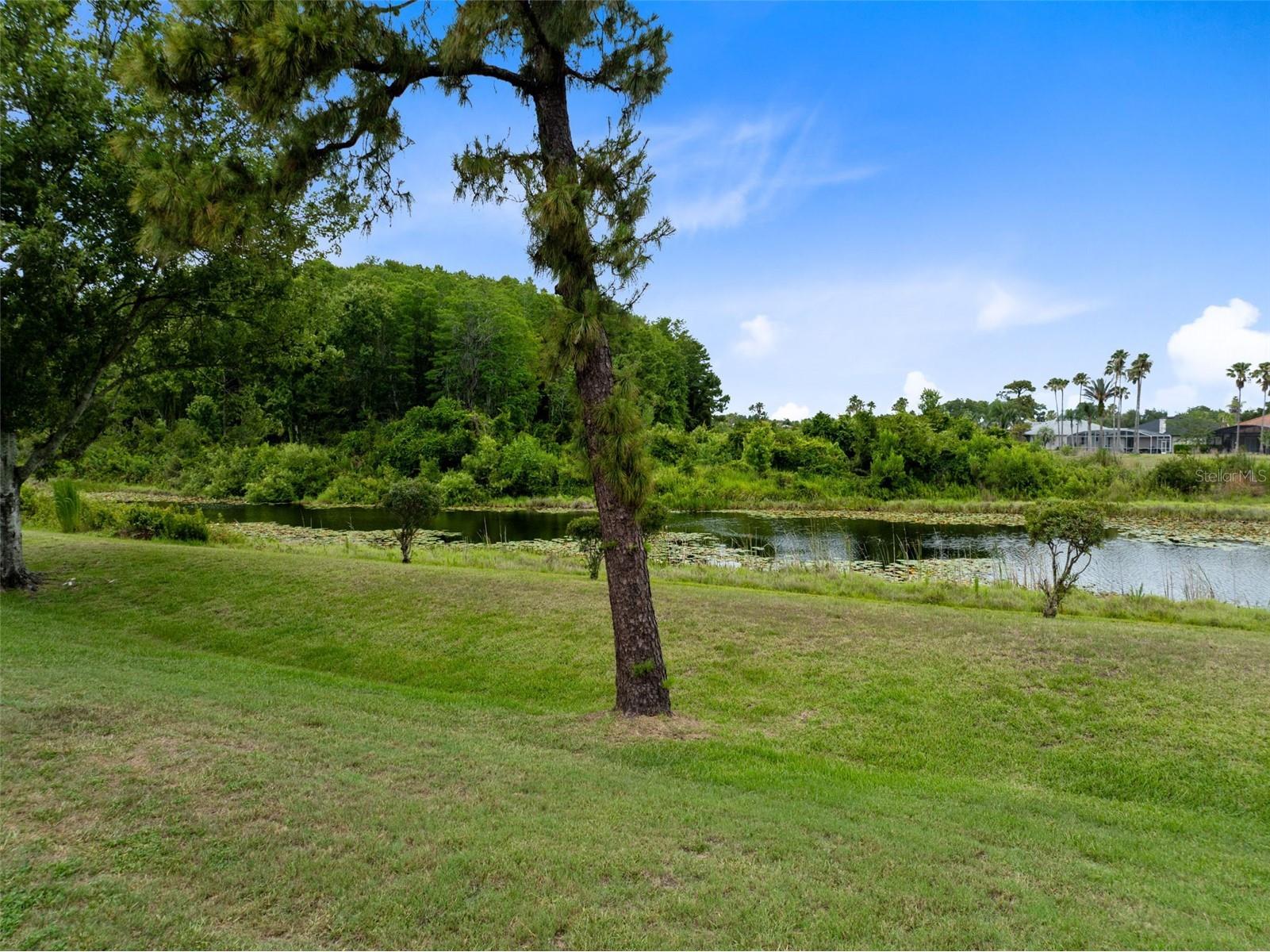 2144 Stone Cross Circle Orlando FL 32828 O6416178 image31