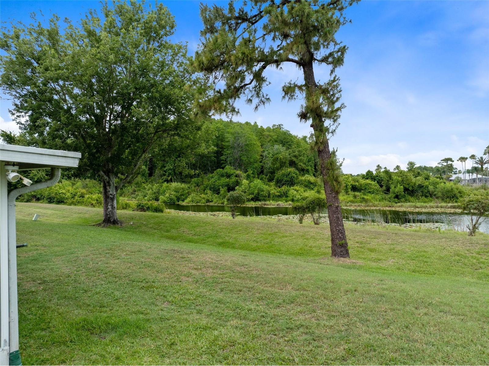 2144 Stone Cross Circle Orlando FL 32828 O6416178 image4