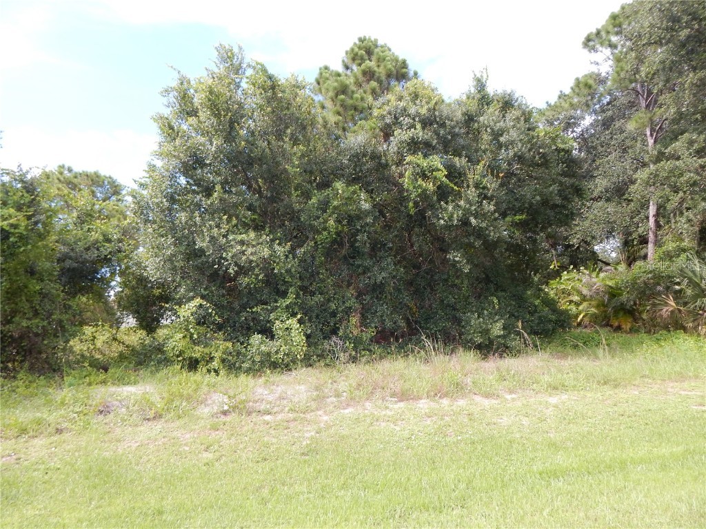 21442 Dollard Avenue Port Charlotte FL 33954 C7463438 image1