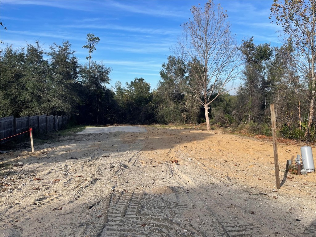 21445 NE 133rd Street Salt Springs FL 32134 OM669117 image1