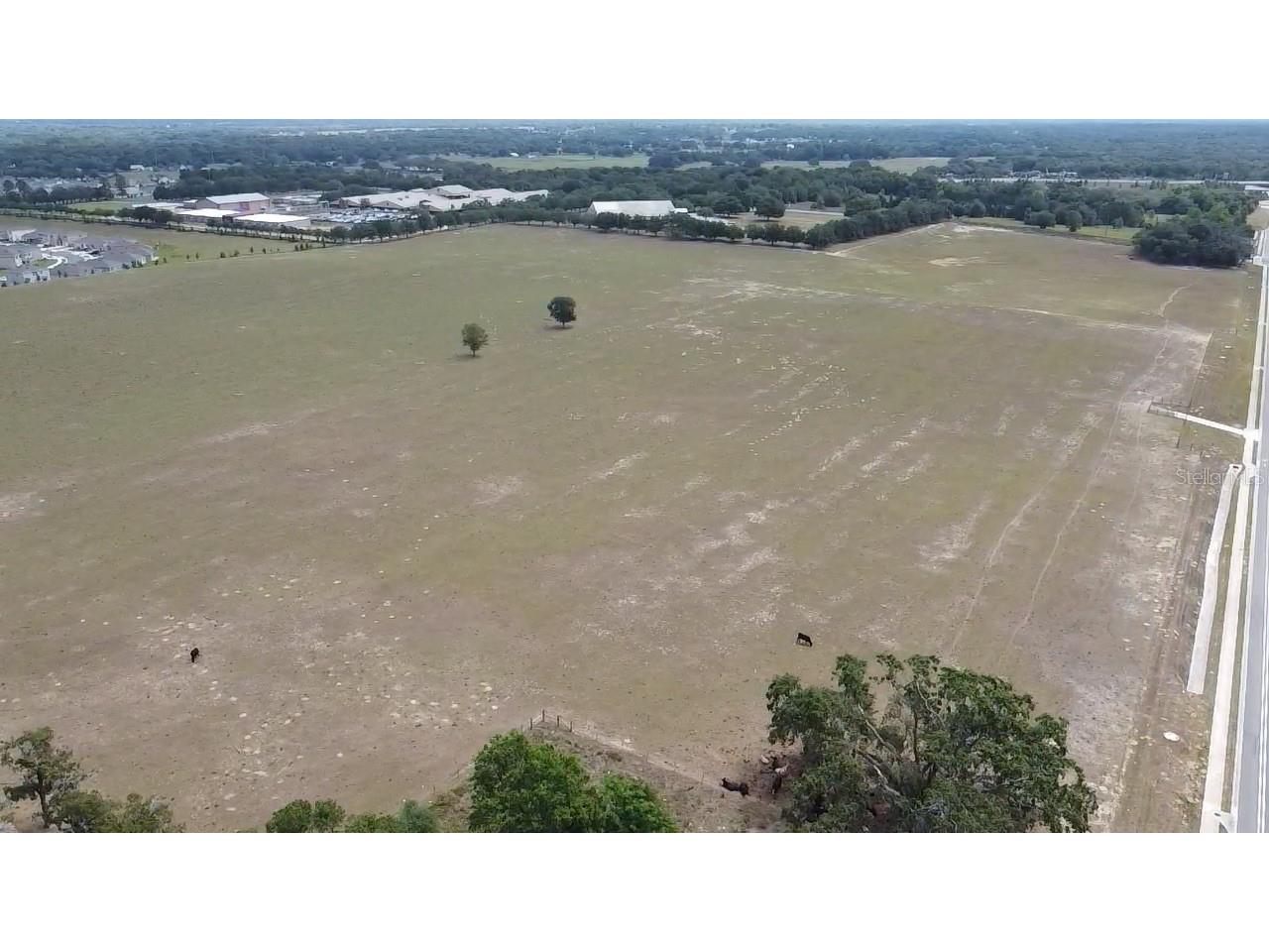 21445 Sr-46 Mount Dora FL 32757 L4952736 image2