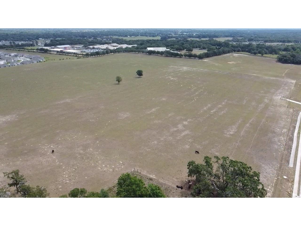 21445 Sr-46 Mount Dora FL 32757 L4952736 image3