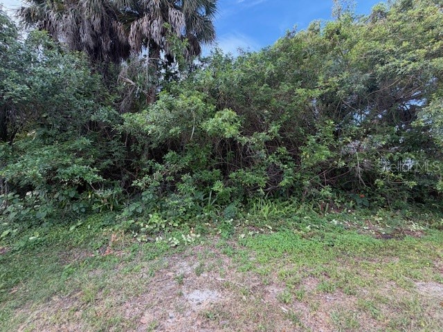 21447 Dranson Avenue Port Charlotte FL 33952 A4691021 image14