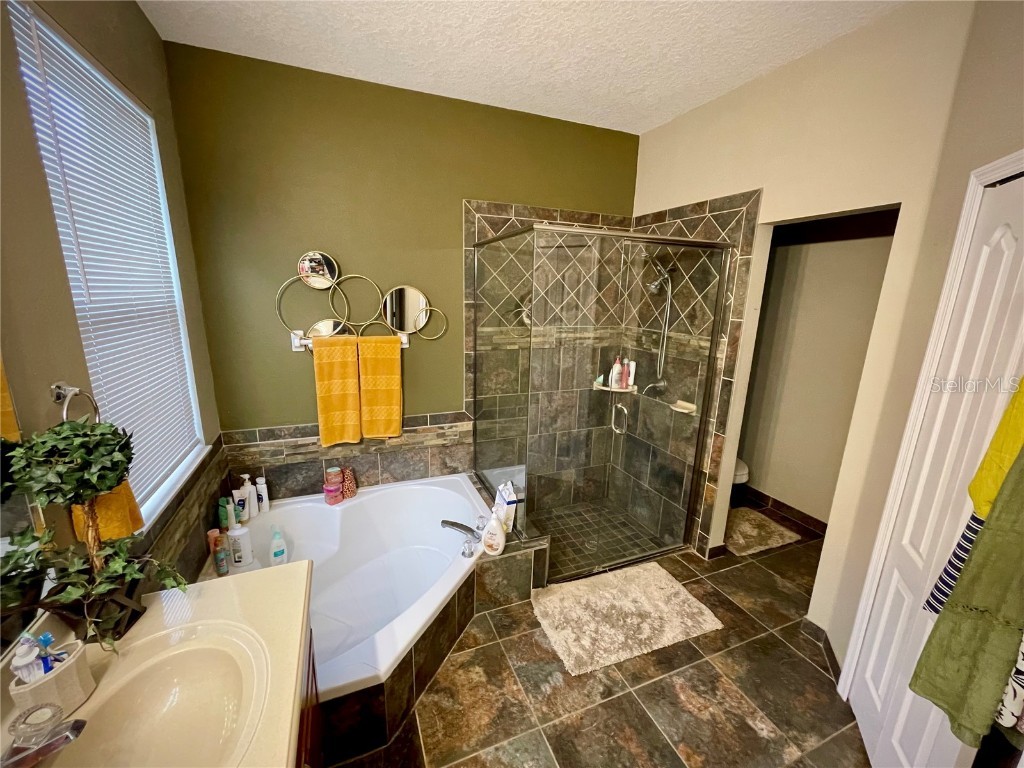 2145 Emerald Green Circle Oviedo FL 32765 O6352785 image11