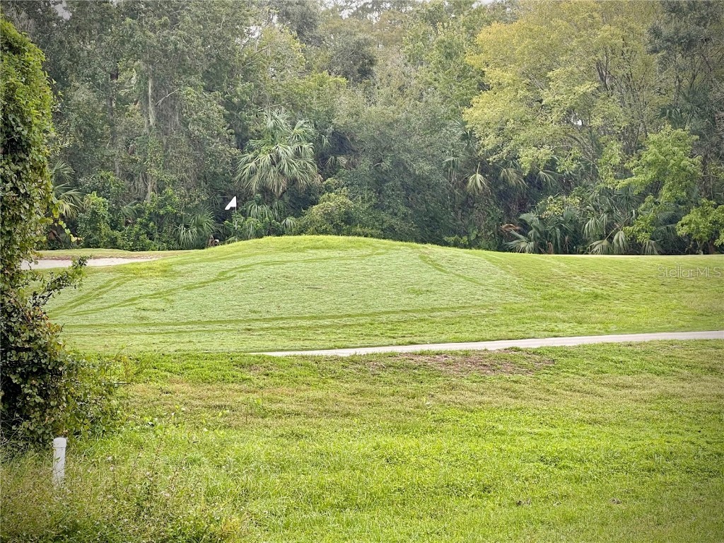 2145 Emerald Green Circle Oviedo FL 32765 O6352785 image17