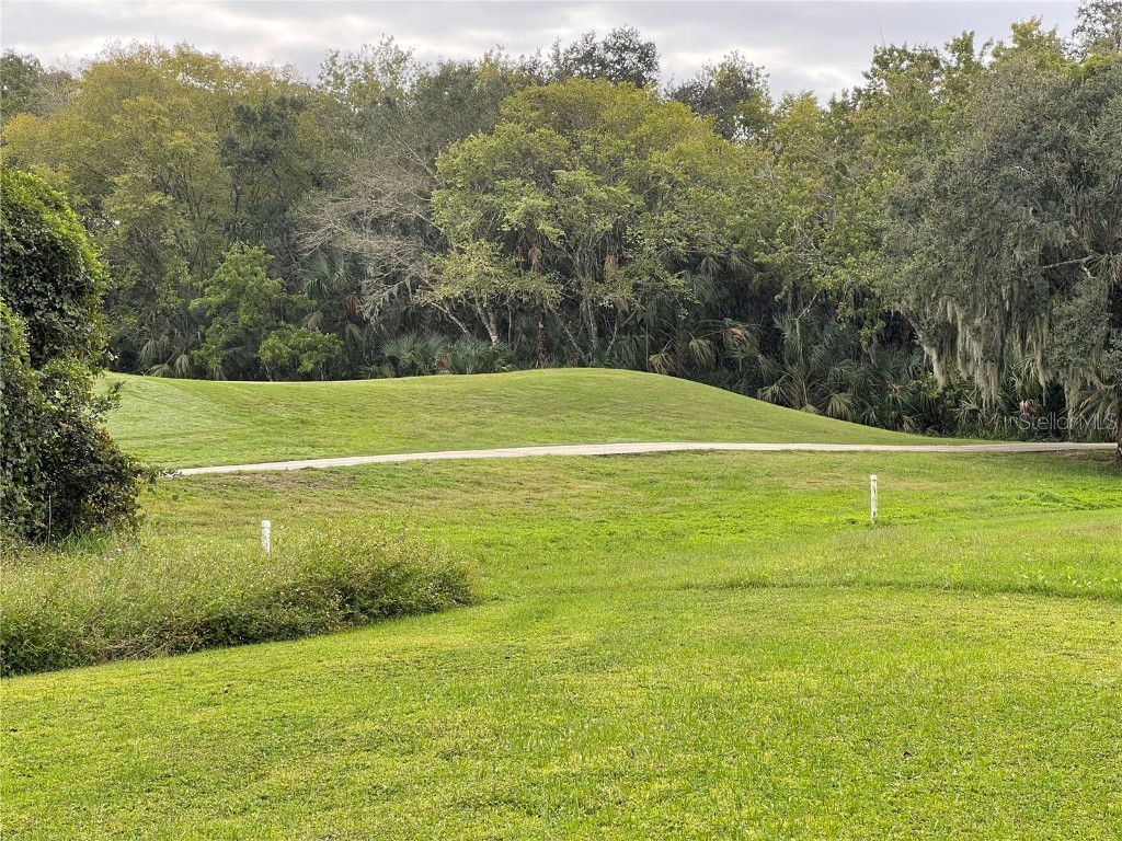 2145 Emerald Green Circle Oviedo FL 32765 O6352785 image18