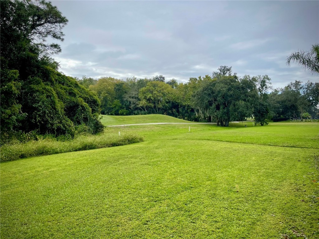 2145 Emerald Green Circle Oviedo FL 32765 O6352785 image19