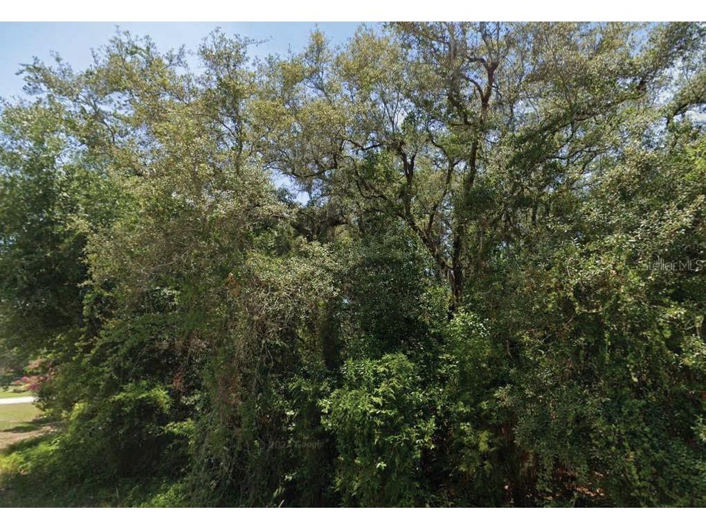 2145 N Morningside Road Avon Park FL 33825 O6306440 image1