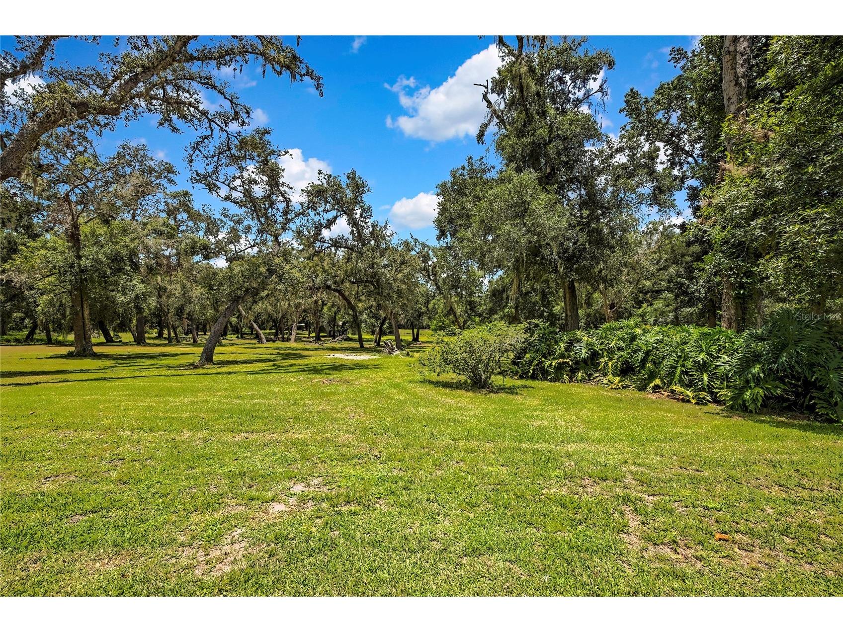 21451 Us Highway 98 Dade City FL 33523 TB8401807 image37